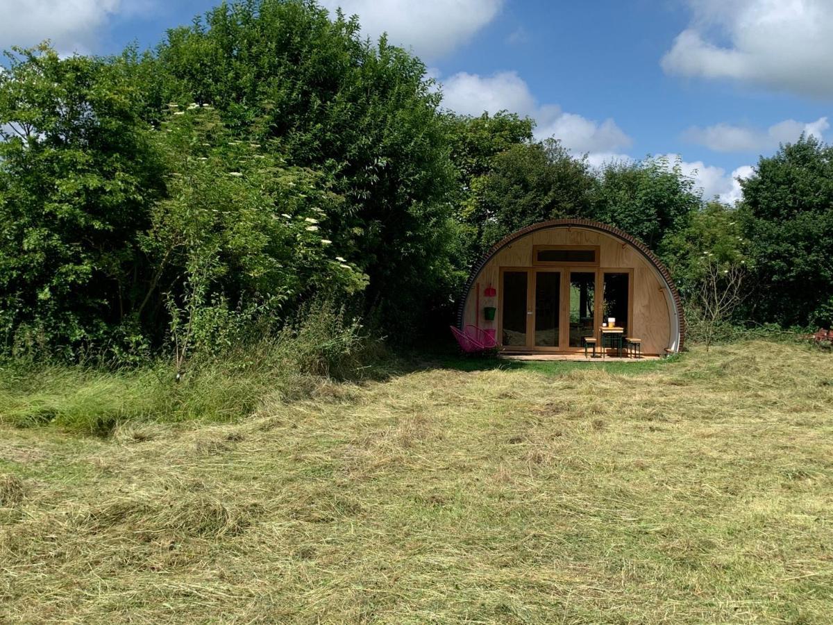 Het Lage Noorden Bed and Breakfast Marrum Eksteriør billede
