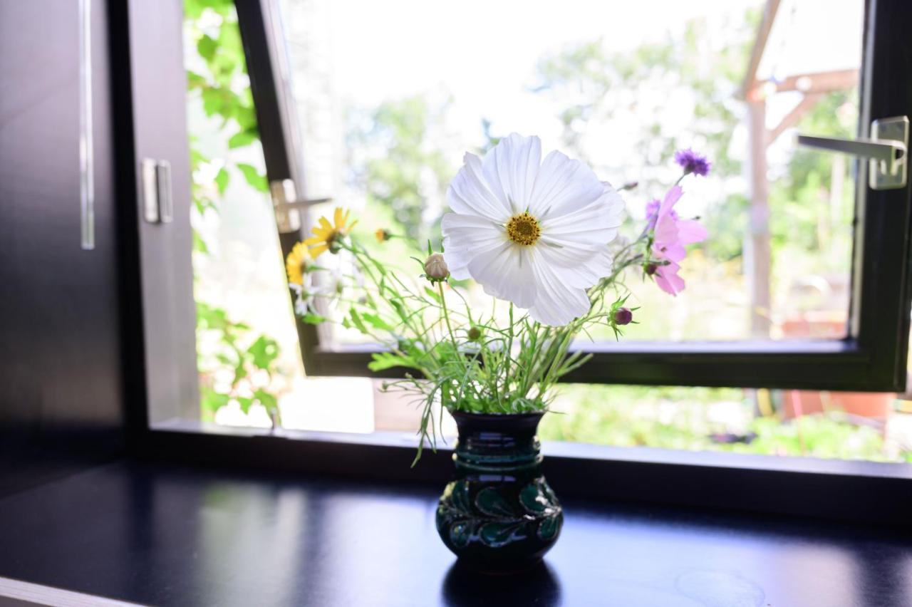 Het Lage Noorden Bed and Breakfast Marrum Eksteriør billede